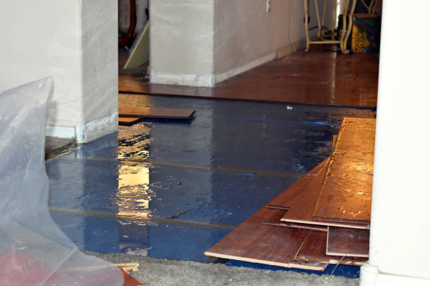 Professional Water Damage Restoration technician working in Everett, MA
